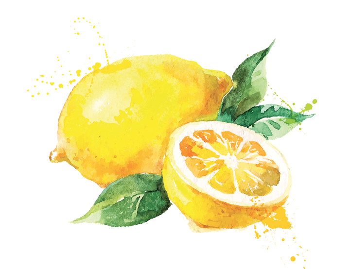 disegno limoni