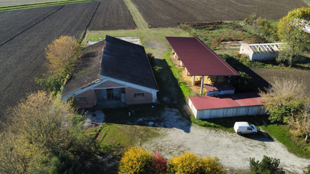 Azienda Agricola Busseto, vitellaia
