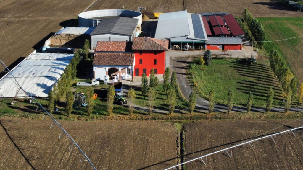 Azienda Agricola Zibello, allevamenti bovine da latte e agricoltura